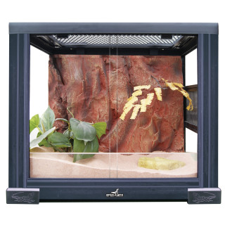 Terrarium 45x45x60 - Terrarium uroplatus - Terrarium caméléon