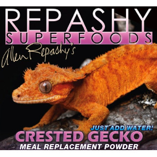 Repashy crested gecko