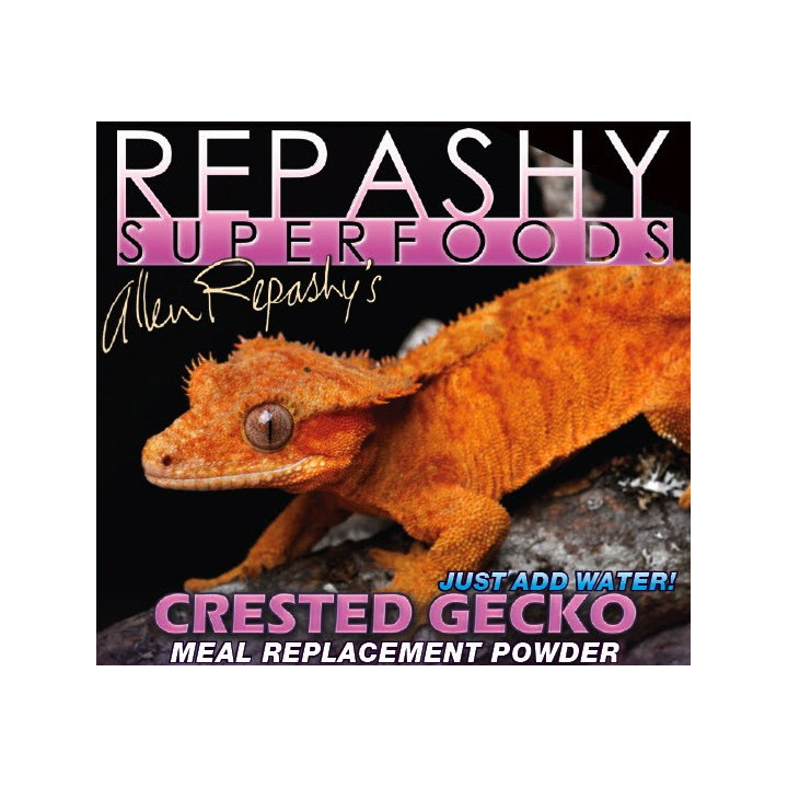 Repashy crested gecko