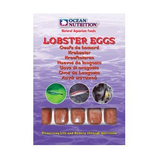 Oeufs de homard 100 grammes
