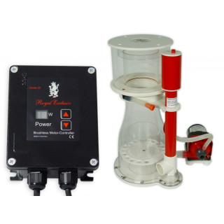 Bubble King Double cone 200 RD3 Speedy
