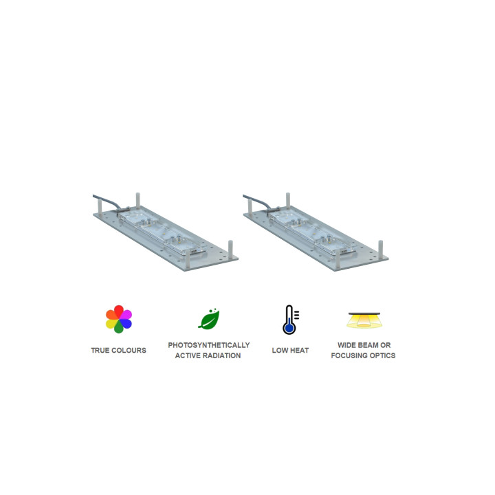 Skylight Pro RH 2