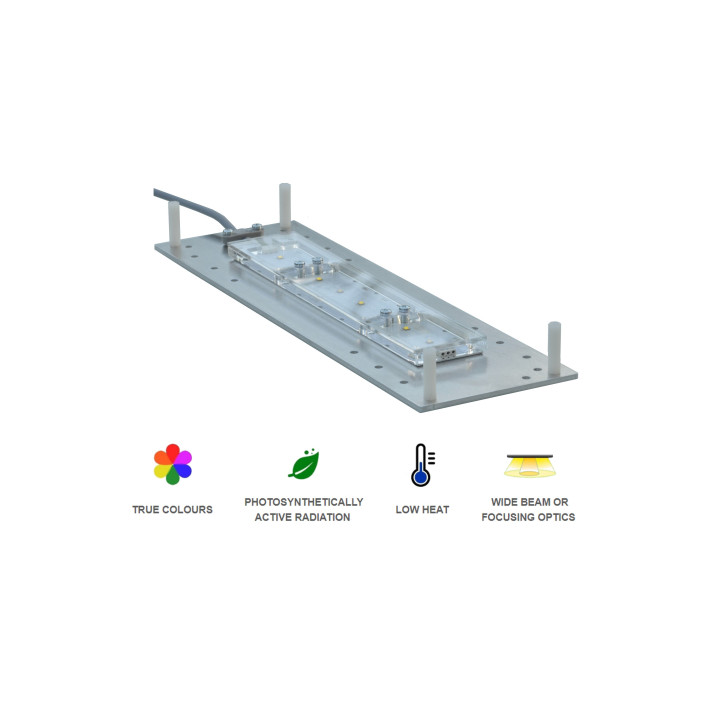 Skylight Pro RP 1