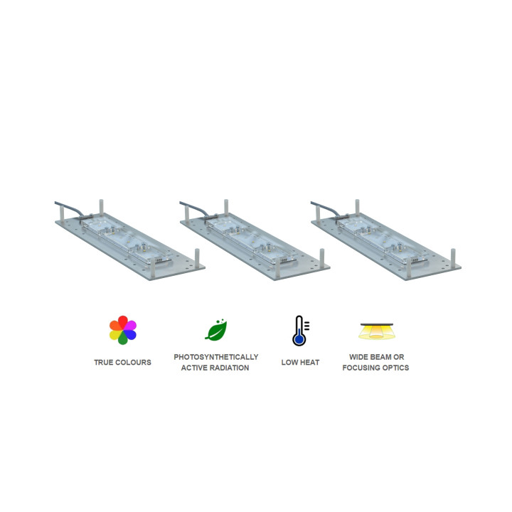 Skylight Pro RP 3