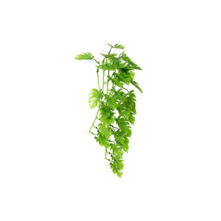 Philodendron plastique