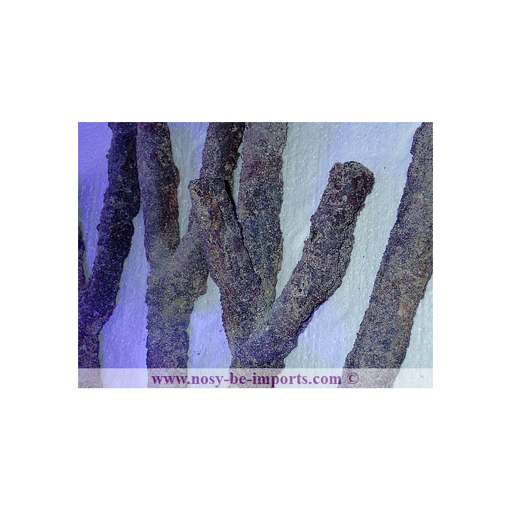 CaribSea Life Rocks branches