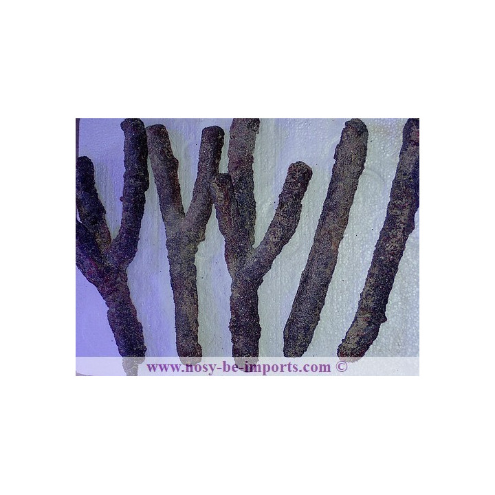 CaribSea Life Rocks branches