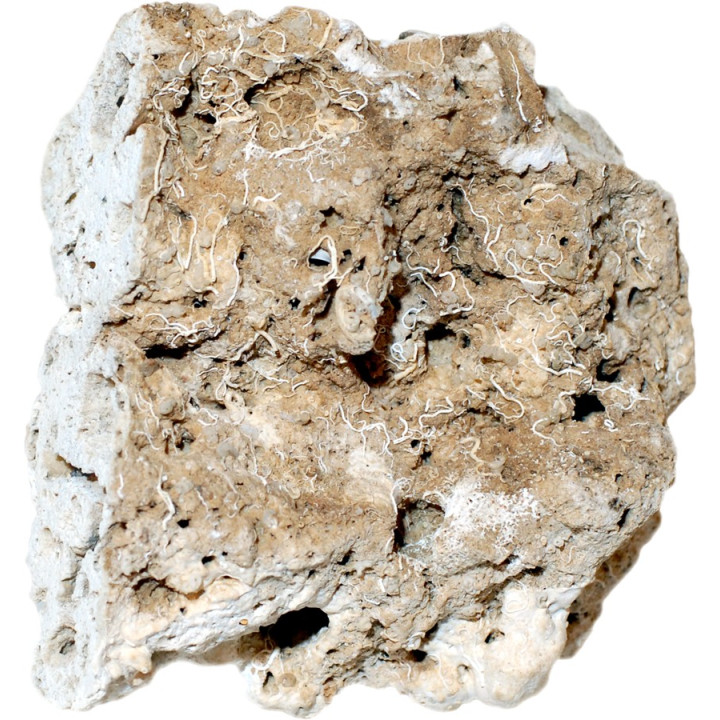 Reef Bond STG