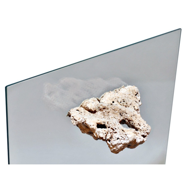 Reef Bond STG