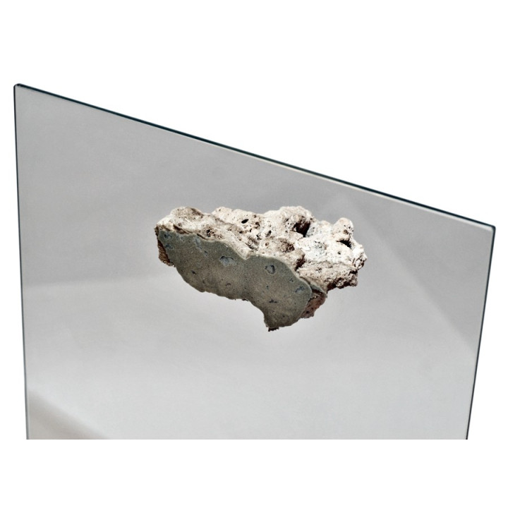 Reef Bond STG