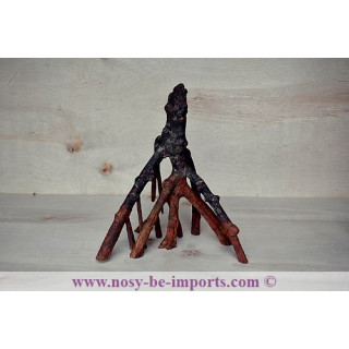 Mangrove replica B