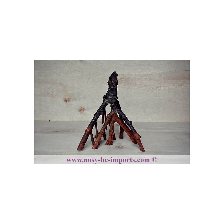 Mangrove replica B