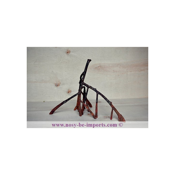Mangrove replica C