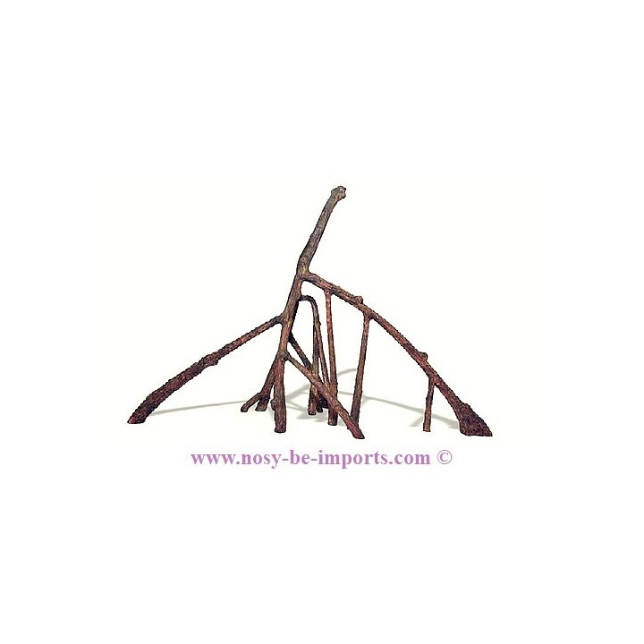Mangrove replica C