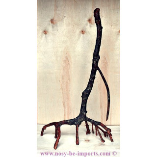 Mangrove replica E