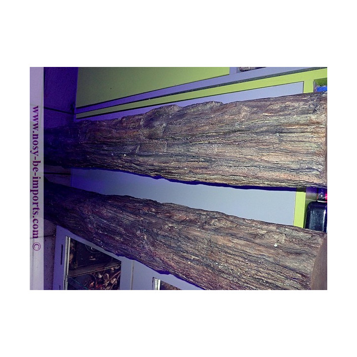 Tronc Replica sur mesure 120 cm