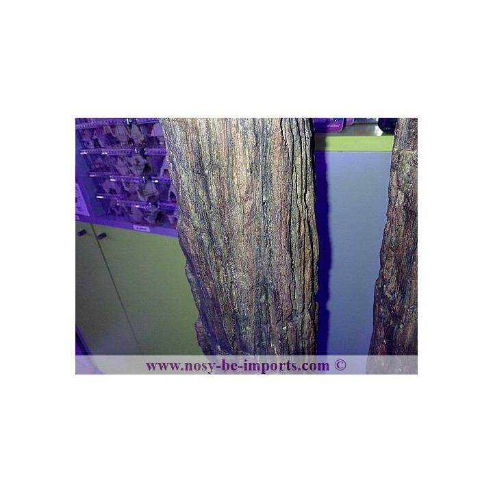 Tronc Replica sur mesure 120 cm