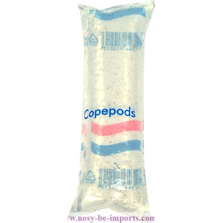 Copépodes vivants