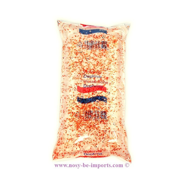 Daphnies vivantes 300 ml