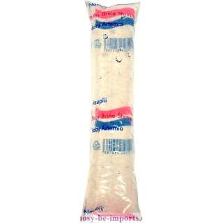Nauplies d'artemias vivantes