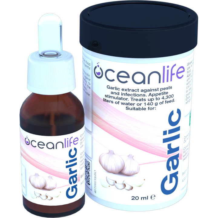 Garlic Oceanlife