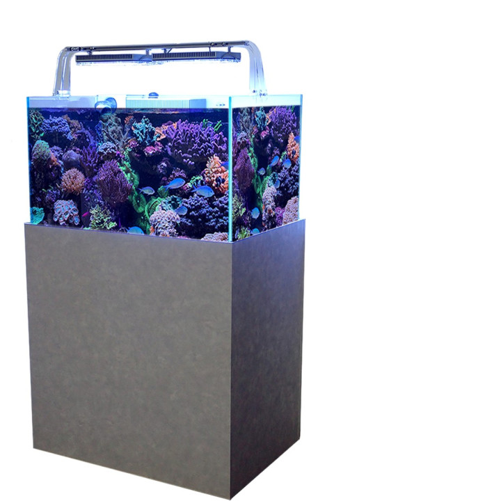 Panama Aquarium