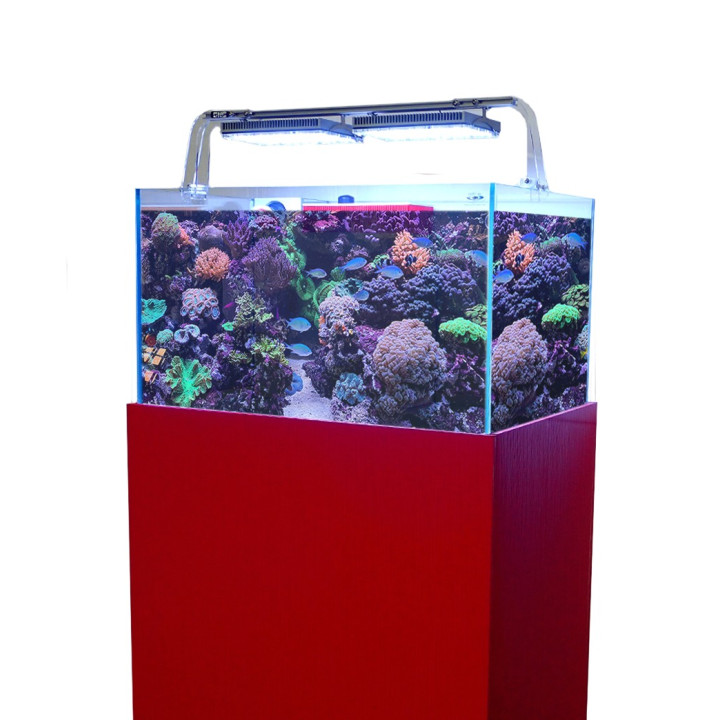 Panama Aquarium
