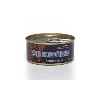 Vers à soie - Silkworm conserve