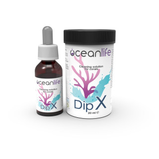 Oceanlife Dip X