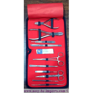 Kit propagation coraux - Kit bouturage