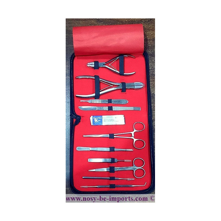 Kit propagation coraux - Kit bouturage