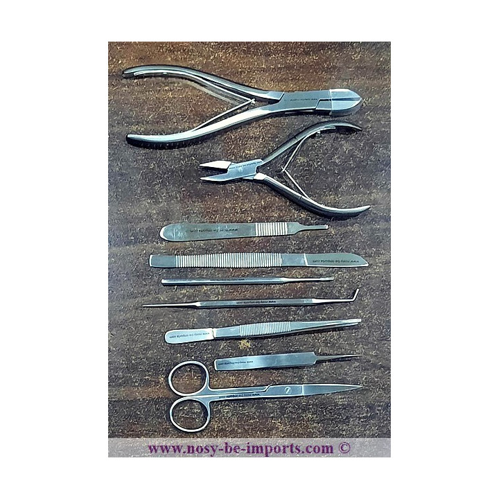 Kit propagation coraux - Kit bouturage