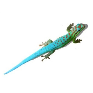 Phelsuma cepediana