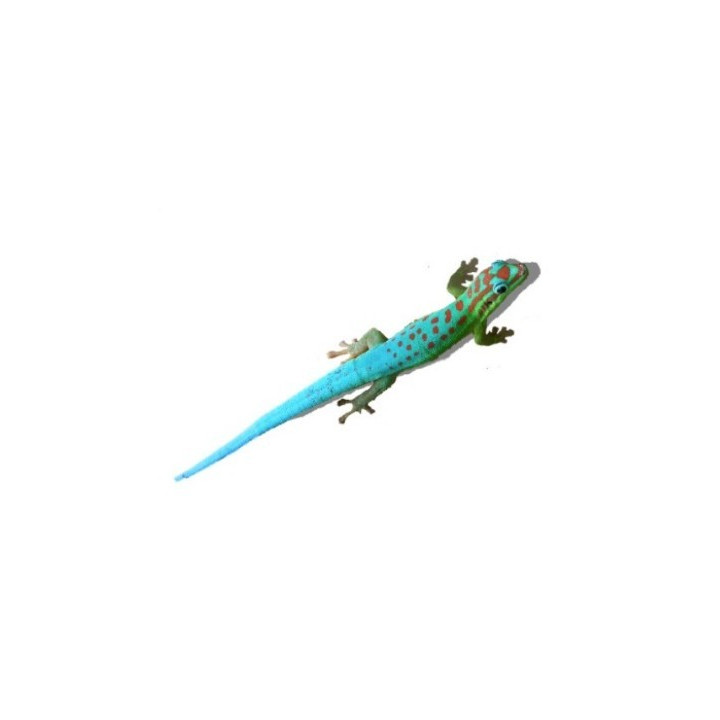 Phelsuma cepediana