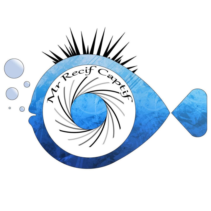 Surveillance et gestion de l'aquarium récifal