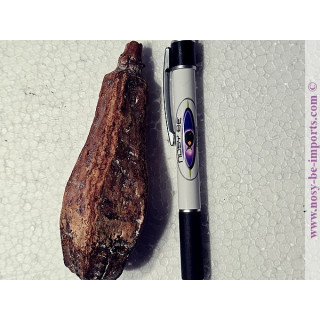 Luffa cosse