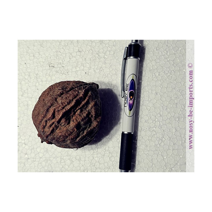 Santol