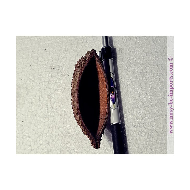 Cosse de Bolsa