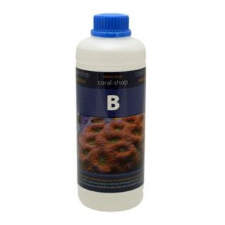 Bore Coral Shop