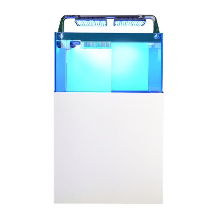 Panama Aquarium Eco