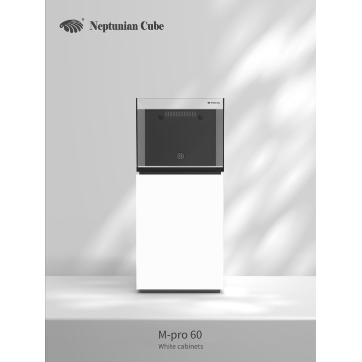 Neptunian cube MP60