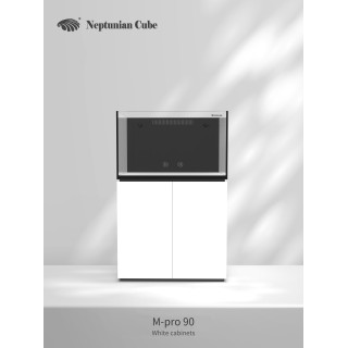 Neptunian cube MP90