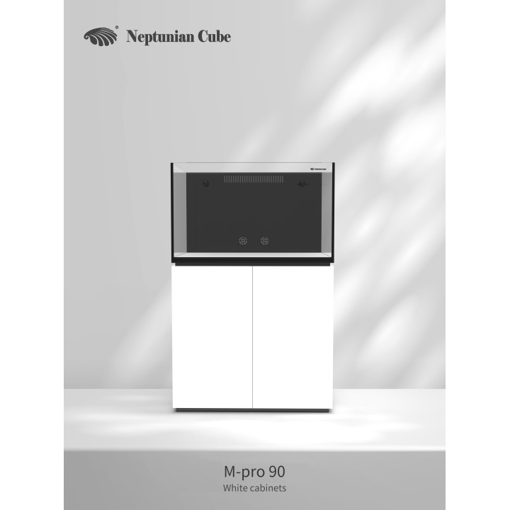 Neptunian cube MP90