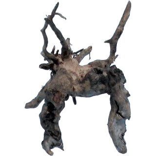 Racine Sumatra XL - Racine terrarium - décoration paludarium