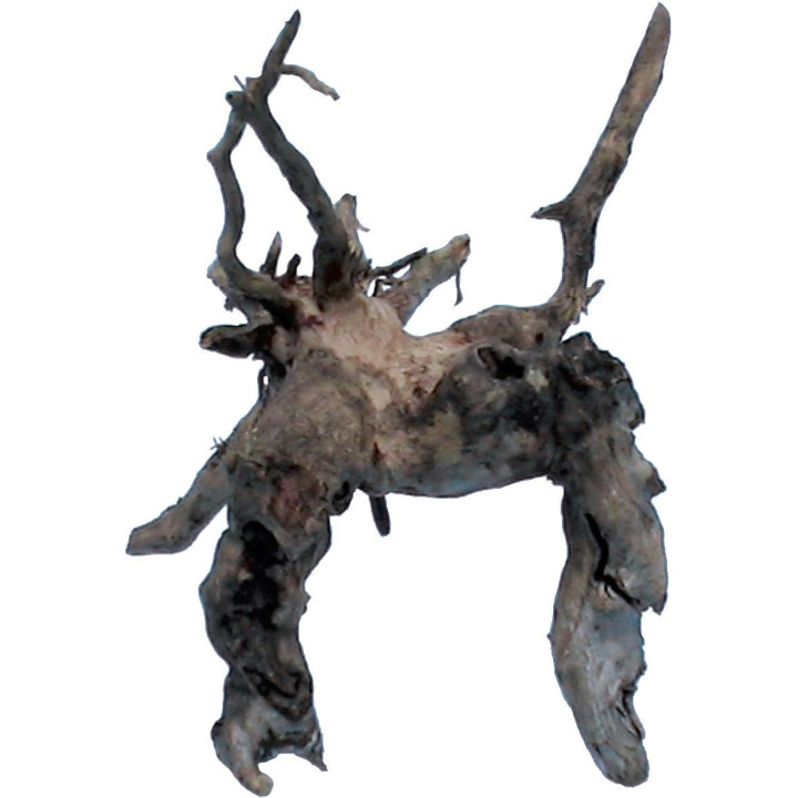 Racine Sumatra XL - Racine terrarium - décoration paludarium