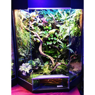 Terrarium complet design 60x50x80 cm
