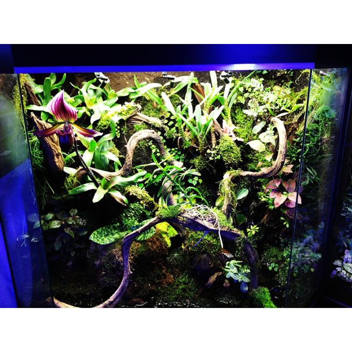 Terrarium complet design 80x50x80 cm