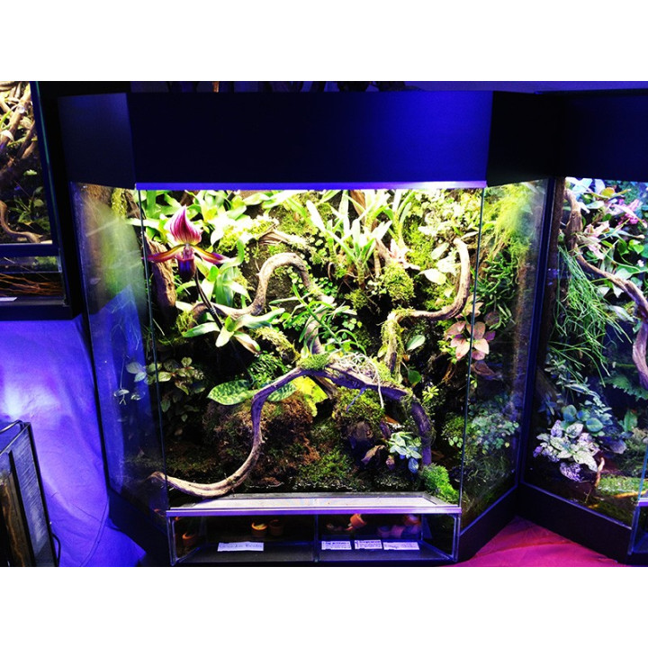 Terrarium complet design 80x50x80 cm