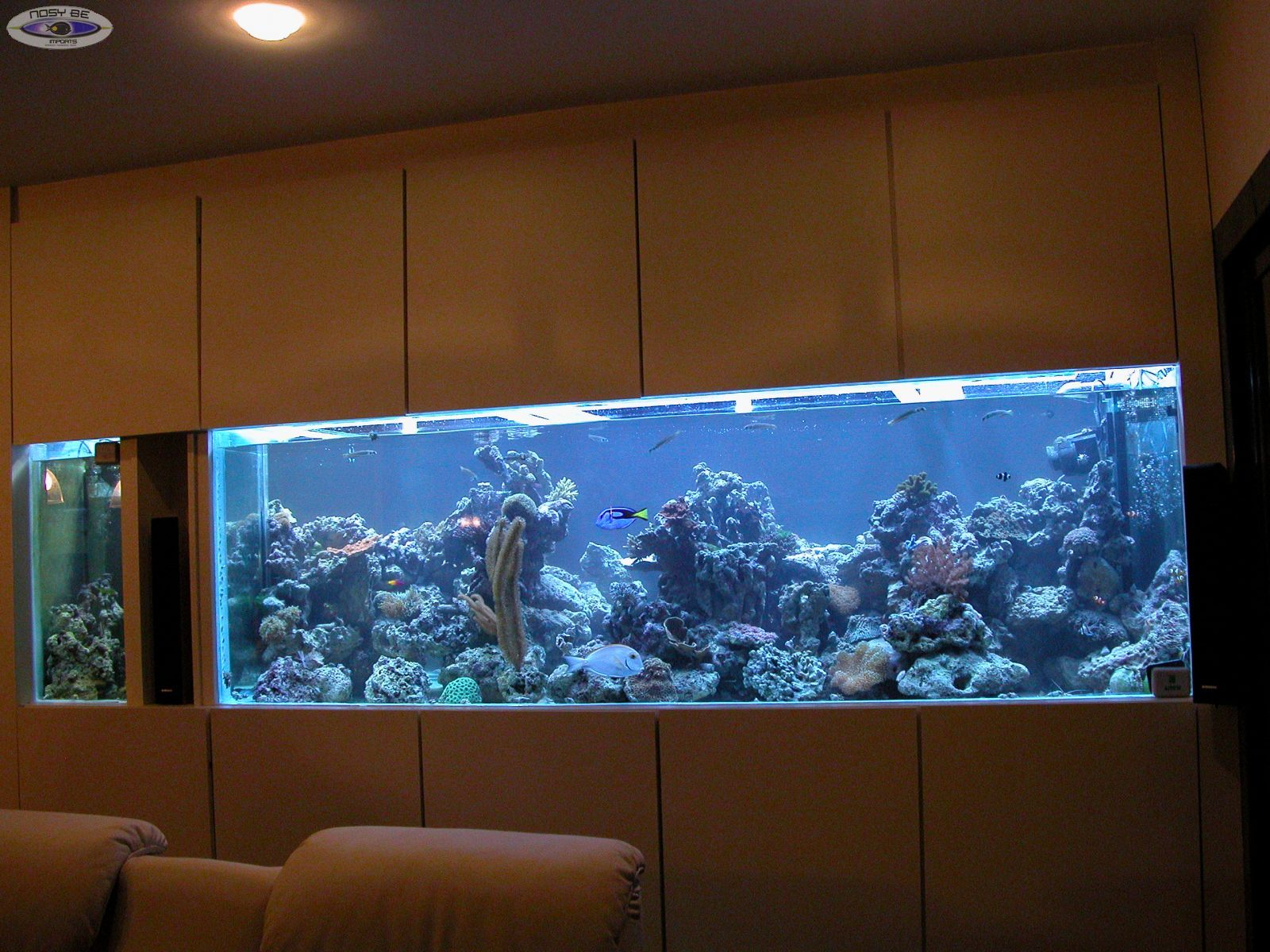 Création Aquarium